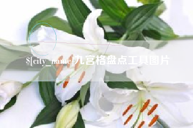 兴安盟九宫格盘点工具图片