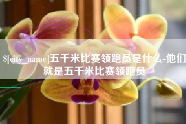 兴安盟五千米比赛领跑员是什么-他们就是五千米比赛领跑员