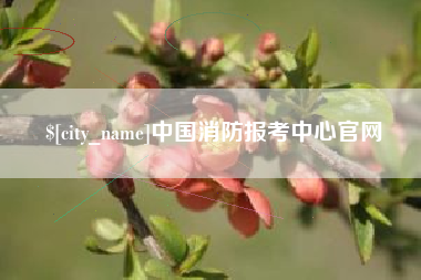 兴安盟中国消防报考中心官网