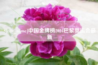 兴安盟中国金牌榜2024巴黎奥运会最新