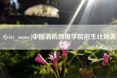 兴安盟中国消防救援学院招生计划表