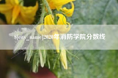 兴安盟2020年消防学院分数线