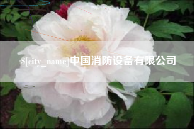 兴安盟中国消防设备有限公司