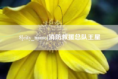 兴安盟消防救援总队王星