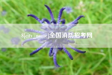 兴安盟全国消防招考网