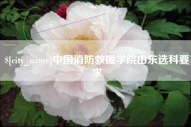 兴安盟中国消防救援学院山东选科要求