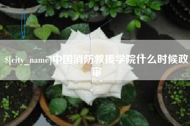 兴安盟中国消防救援学院什么时候政审