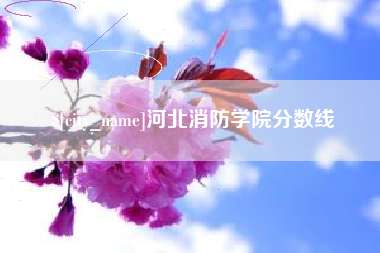 兴安盟河北消防学院分数线
