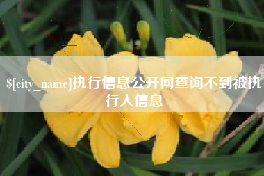 兴安盟执行信息公开网查询不到被执行人信息