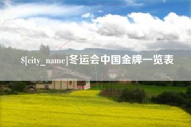 兴安盟冬运会中国金牌一览表