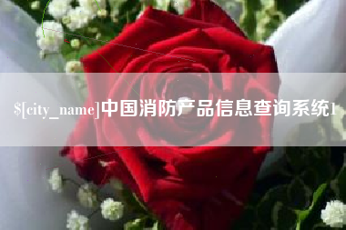 兴安盟中国消防产品信息查询系统1