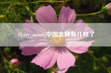 兴安盟中国金牌有几枚了