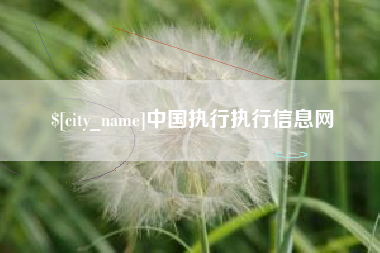 兴安盟中国执行执行信息网