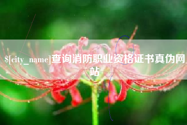 兴安盟查询消防职业资格证书真伪网站