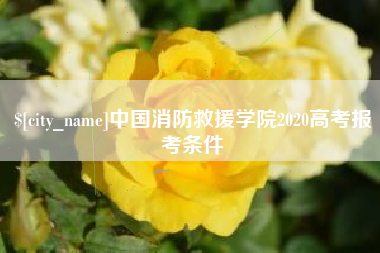 兴安盟中国消防救援学院2020高考报考条件