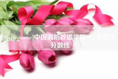 兴安盟中国消防救援学院2021年招生分数线