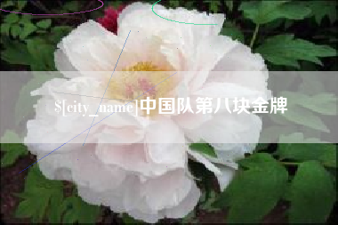 兴安盟中国队第八块金牌