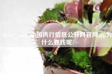 兴安盟中国执行信息公开网官网app为什么要钱呢