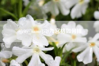 兴安盟579九宫格如何排