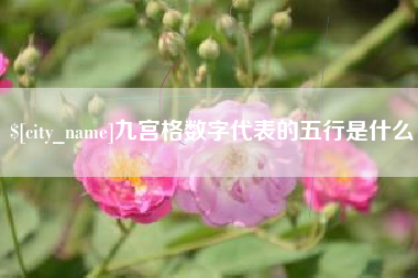 兴安盟九宫格数字代表的五行是什么