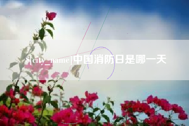 兴安盟中国消防日是哪一天
