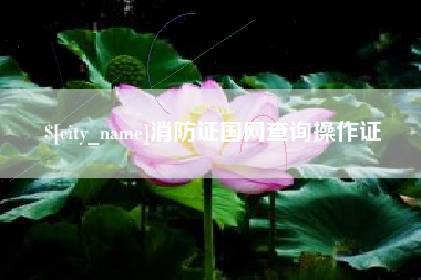 兴安盟消防证国网查询操作证