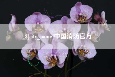 兴安盟中国消防官方