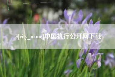 兴安盟中国执行公开网下载