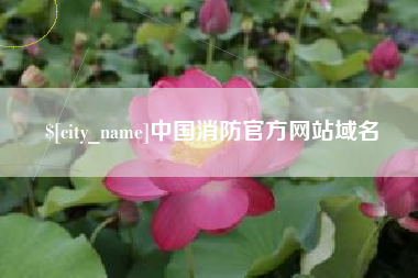 兴安盟中国消防官方网站域名