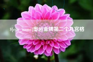 兴安盟奥运金牌第二个九宫格