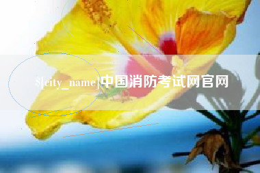 兴安盟中国消防考试网官网