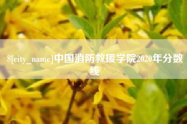 兴安盟中国消防救援学院2020年分数线