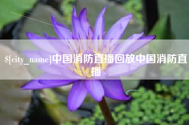 兴安盟中国消防直播回放中国消防直播