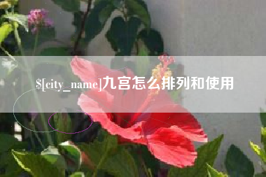 兴安盟九宫怎么排列和使用