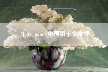 兴安盟中国第十个金牌