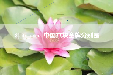 兴安盟中国六块金牌分别是