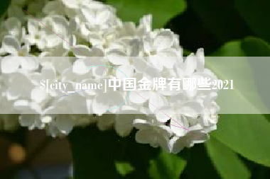 兴安盟中国金牌有哪些2021