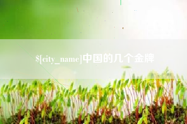 兴安盟中国的几个金牌