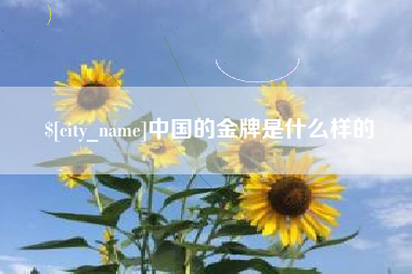 兴安盟中国的金牌是什么样的