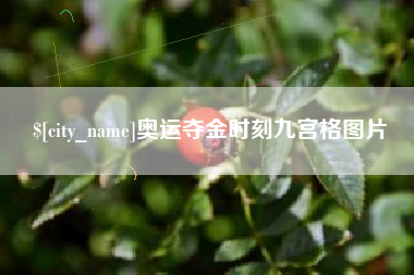 兴安盟奥运夺金时刻九宫格图片