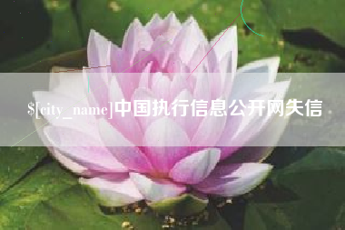 兴安盟中国执行信息公开网失信