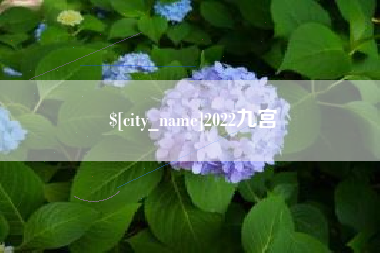 兴安盟2022九宫