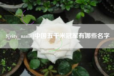 兴安盟中国五千米冠军有哪些名字