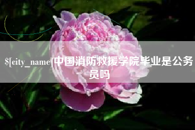 兴安盟中国消防救援学院毕业是公务员吗