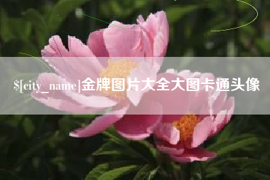 兴安盟金牌图片大全大图卡通头像