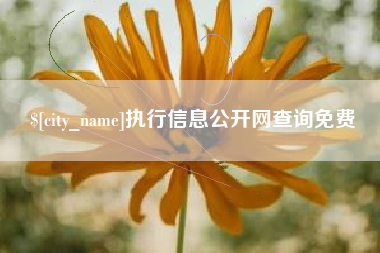 兴安盟执行信息公开网查询免费