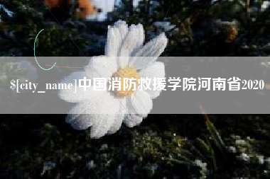 兴安盟中国消防救援学院河南省2020